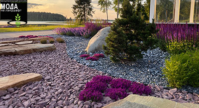 Представляем победителей конкурса «Мода на ландшафт 2026»