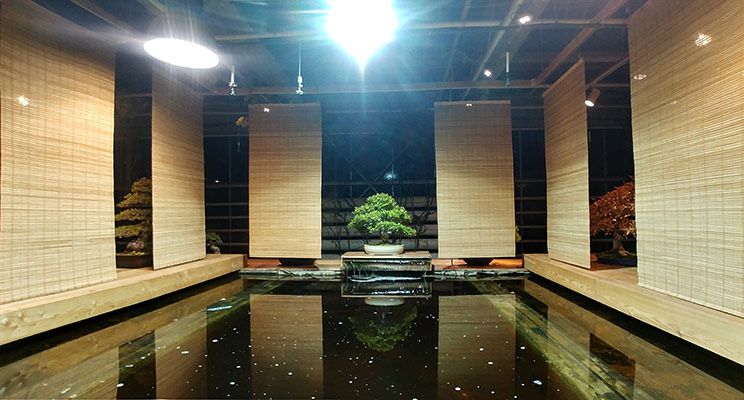 Редакторы журнала «Дом и сад» посетили выставку японских бонсай - изображение 12