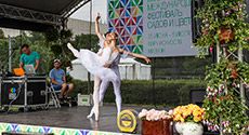 На фестивале садов Moscow Flower Show сделают открытый каток в июльскую жару