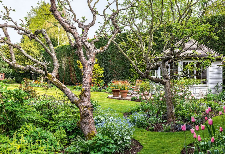 Английский сад на старинном участке | Проекты садов | Журнал «Дом и сад» |  Проект Эндрю Уилсона