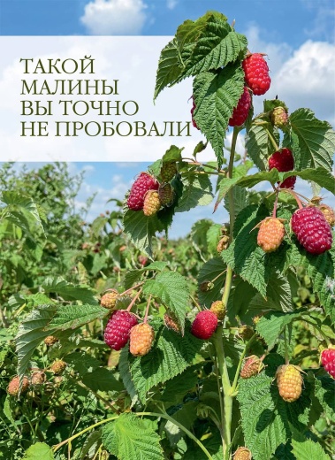 Журнал «Дом и сад» №1 (107) 2023