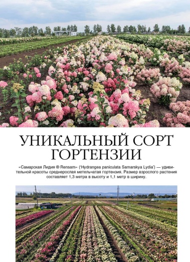 Журнал «Дом и сад» №2 (105) 2021