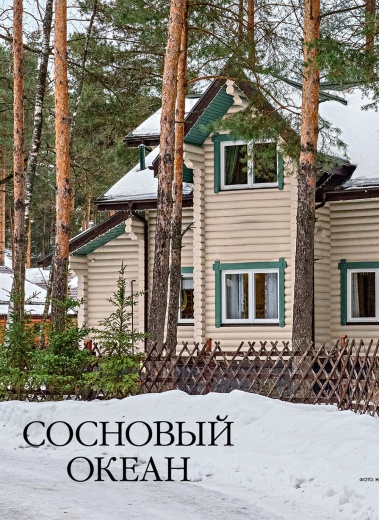 Журнал «Деревянные дома» №1 (104) 2024