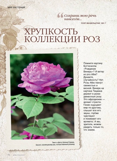 Журнал «Дом и сад» №1 (107) 2023