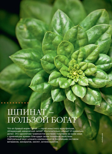 Журнал «Дом и сад» №1 (110) 2026
