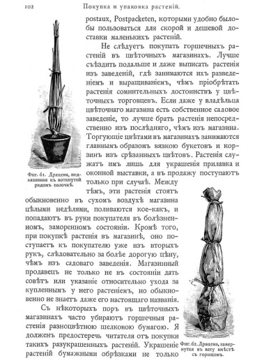 Книга «Комнатное садоводство»