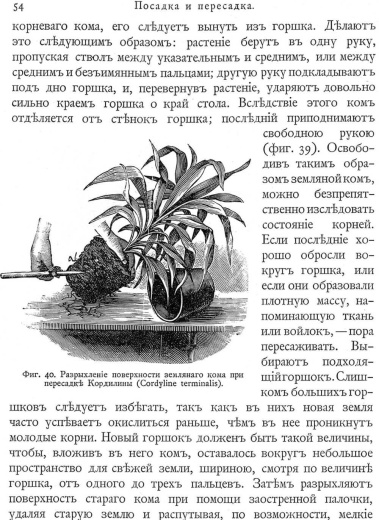 Книга «Комнатное садоводство»