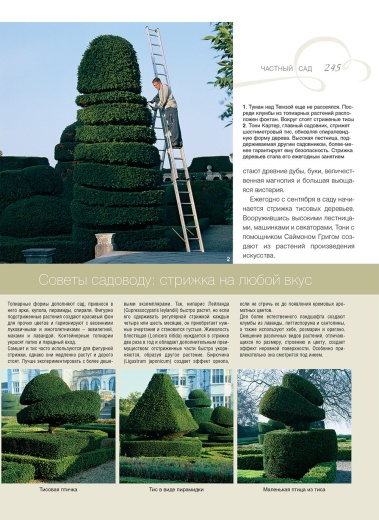 Книга «Частный сад»