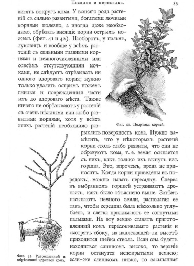 Книга «Комнатное садоводство»